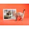Simply Dotz® Beginner Daydream Kitty Diamond Painting Kit